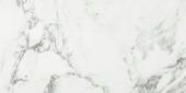 Arabescato Verona Polished 12X24 | Arley Wholesale