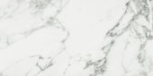 Arabescato Verona Polished 24X48 | Arley Wholesale