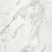 Arabescato Verona Polished 32X32 | Arley Wholesale