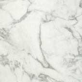 Arabescato Verona Polished 32X32 | Arley Wholesale