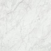 San Giulio Gioia Polished 24X24 | Arley Wholesale