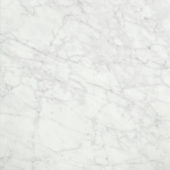 San Giulio Gioia Polished 24X24 | Arley Wholesale