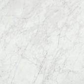 San Giulio Gioia Polished 24X24 | Arley Wholesale