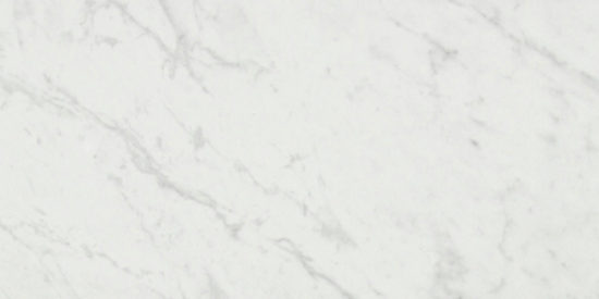 San Giulio Gioia Polished 24X48 | Arley Wholesale