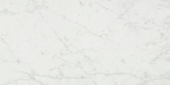 San Giulio Gioia Polished 24X48 | Arley Wholesale