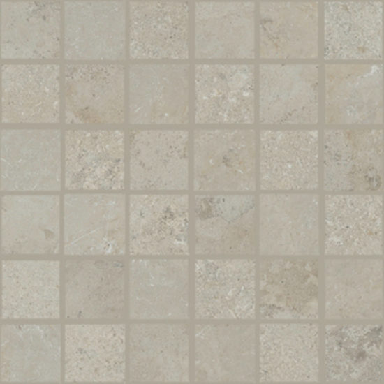 Erice Taupe 2X2" Mosaic